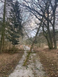 Einsatzbild Technische Hilfeleistung 17.02.2022 04:58