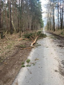 Einsatzbild Technische Hilfeleistung 17.02.2022 04:58