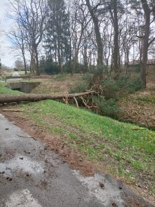 Einsatzbild Technische Hilfeleistung 19.02.2022 07:45