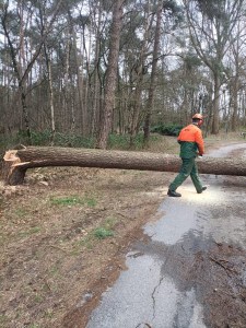 Einsatzbild Technische Hilfeleistung 19.02.2022 07:45