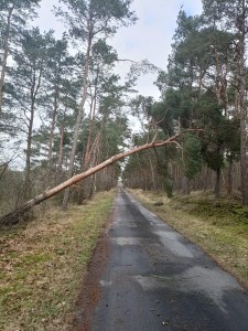 Einsatzbild Technische Hilfeleistung 19.02.2022 07:45