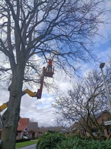 Einsatzbild Technische Hilfeleistung 19.02.2022 07:45