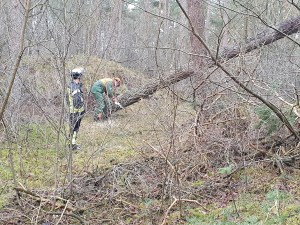 Einsatzbild Technische Hilfeleistung 19.02.2022 07:45