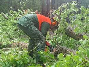 Einsatzbild Technische Hilfeleistung 19.05.2022 16:13
