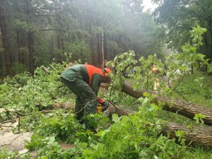 Einsatzbild Technische Hilfeleistung 19.05.2022 16:13
