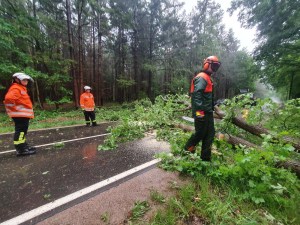 Einsatzbild Technische Hilfeleistung 19.05.2022 16:13