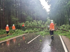 Einsatzbild Technische Hilfeleistung 19.05.2022 16:13