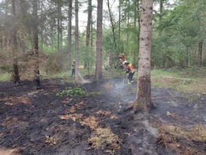 Einsatzbild Mittelbrand (MB) 21.06.2022 16:46