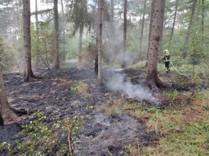 Einsatzbild Mittelbrand (MB) 21.06.2022 16:46