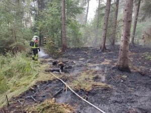 Einsatzbild Mittelbrand (MB) 21.06.2022 16:46
