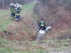 Einsatzbild Technische Hilfeleistung 31.12.2022 15:14