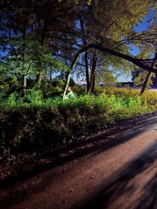 Einsatzbild Technische Hilfeleistung 05.06.2026 03:33