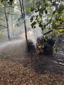 Einsatzbild Mittelbrand (MB) 03.07.2026 18:54